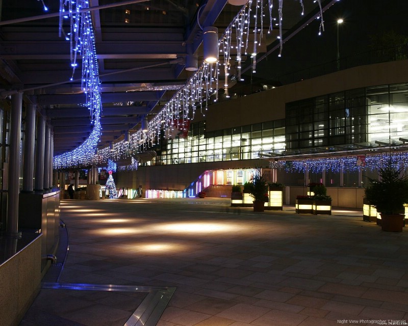 圣诞节夜景壁纸 壁纸102壁纸 圣诞节夜景壁纸壁纸 圣诞节夜景壁纸图片 圣诞节夜景壁纸素材 风景壁纸 风景图库 风景图片素材桌面壁纸