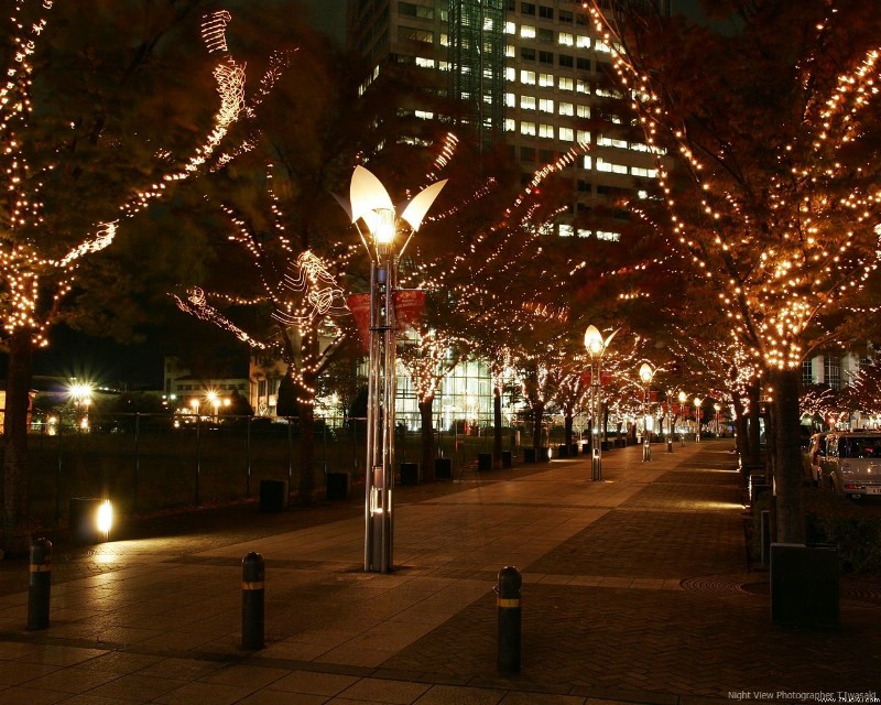 圣诞节夜景壁纸 壁纸89壁纸 圣诞节夜景壁纸壁纸 圣诞节夜景壁纸图片 圣诞节夜景壁纸素材 风景壁纸 风景图库 风景图片素材桌面壁纸