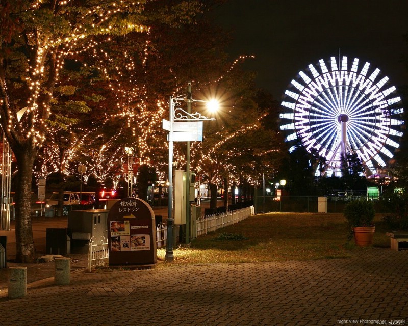 圣诞节夜景壁纸 壁纸90壁纸 圣诞节夜景壁纸壁纸 圣诞节夜景壁纸图片 圣诞节夜景壁纸素材 风景壁纸 风景图库 风景图片素材桌面壁纸