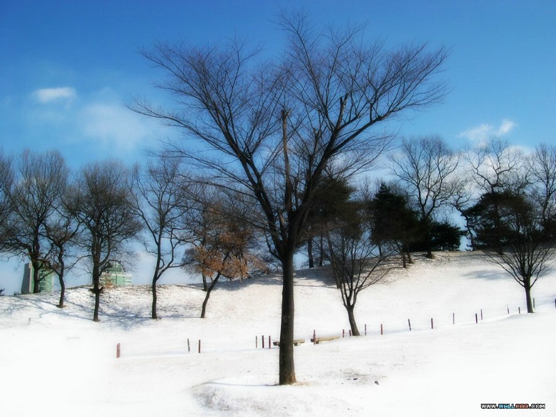 下雪的天空壁纸 下雪的天空壁纸 下雪的天空图片 下雪的天空素材 风景壁纸 风景图库 风景图片素材桌面壁纸