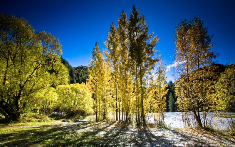  新西兰迷人的秋天 新西兰箭镇 Arrowtown Autumn New Zealand壁纸 新西兰的山水如画壁纸壁纸 新西兰的山水如画壁纸图片 新西兰的山水如画壁纸素材 风景壁纸 风景图库 风景图片素材桌面壁纸