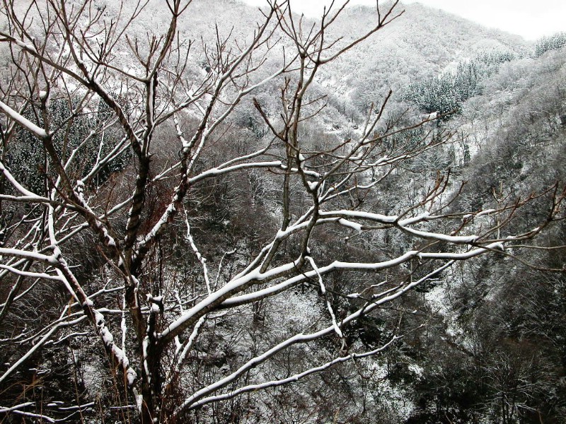 雪景壁纸 雪景壁纸 雪景图片 雪景素材 风景壁纸 风景图库 风景图片素材桌面壁纸