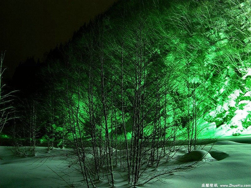 夜中雪景唯美景色壁纸 壁纸5壁纸 夜中雪景唯美景色壁纸壁纸 夜中雪景唯美景色壁纸图片 夜中雪景唯美景色壁纸素材 风景壁纸 风景图库 风景图片素材桌面壁纸