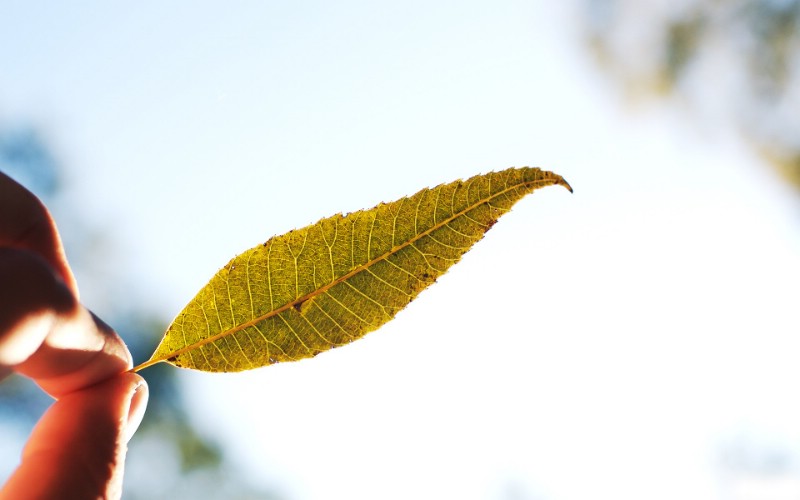 自然随拍暗调风景壁纸壁纸 自然随拍暗调风景壁纸壁纸 自然随拍暗调风景壁纸图片 自然随拍暗调风景壁纸素材 风景壁纸 风景图库 风景图片素材桌面壁纸