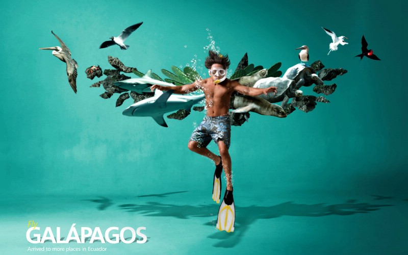 创意无限  Fly Galapagos Tame Ecuador航空公司创意广告壁纸 创意广告设计壁纸(第四辑)壁纸 创意广告设计壁纸(第四辑)图片 创意广告设计壁纸(第四辑)素材 广告壁纸 广告图库 广告图片素材桌面壁纸