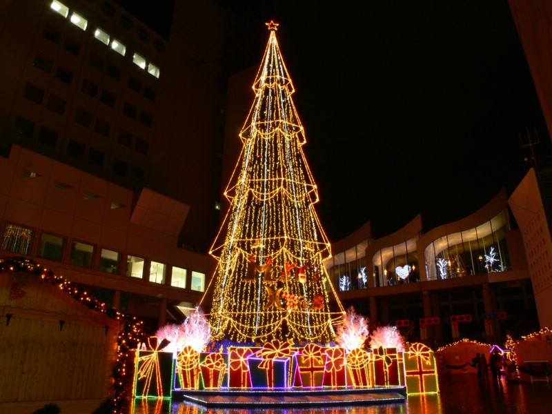  华丽闪亮的圣诞树壁纸 Christmas night Christmas Trees壁纸 闪烁美丽的圣诞树夜景壁纸壁纸 闪烁美丽的圣诞树夜景壁纸图片 闪烁美丽的圣诞树夜景壁纸素材 节日壁纸 节日图库 节日图片素材桌面壁纸