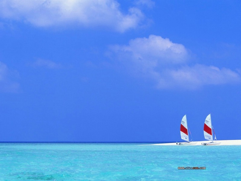  马尔代夫图片 Maldive Vacation Maldives Travel Spot壁纸 麦兜的马尔代夫之旅壁纸 麦兜的马尔代夫之旅图片 麦兜的马尔代夫之旅素材 人文壁纸 人文图库 人文图片素材桌面壁纸