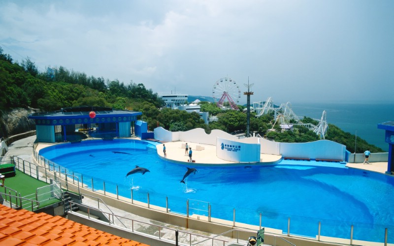  香港海洋公园海豚 HongKong Travel Hongkong Ocean Park壁纸 香港旅游景点壁纸壁纸 香港旅游景点壁纸图片 香港旅游景点壁纸素材 人文壁纸 人文图库 人文图片素材桌面壁纸