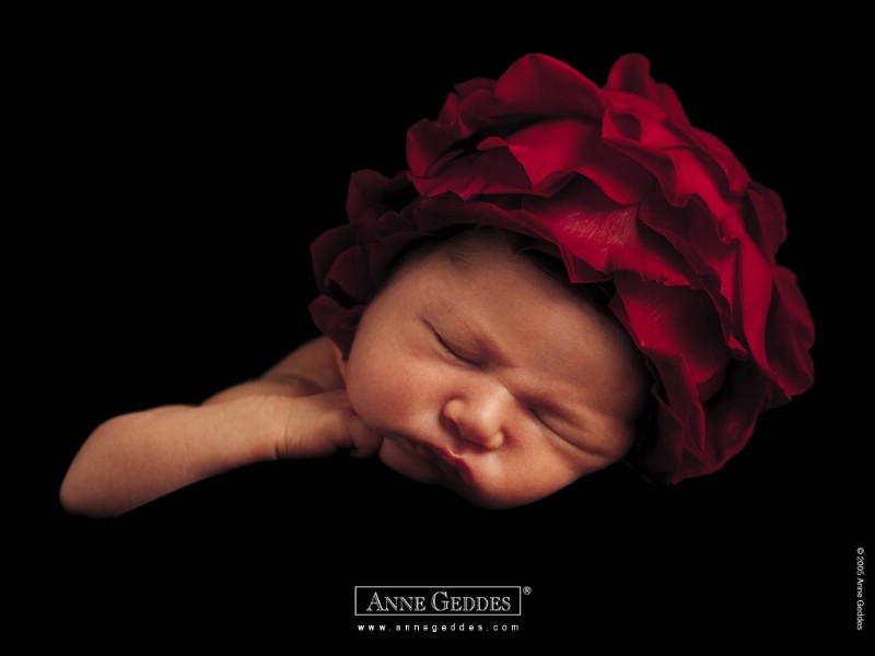  花仙子婴儿艺术摄影 Desktop Wallpaper of Anne Baby Photography壁纸 Anne Geddes 婴儿摄影作品(二)花仙子壁纸 Anne Geddes 婴儿摄影作品(二)花仙子图片 Anne Geddes 婴儿摄影作品(二)花仙子素材 摄影壁纸 摄影图库 摄影图片素材桌面壁纸