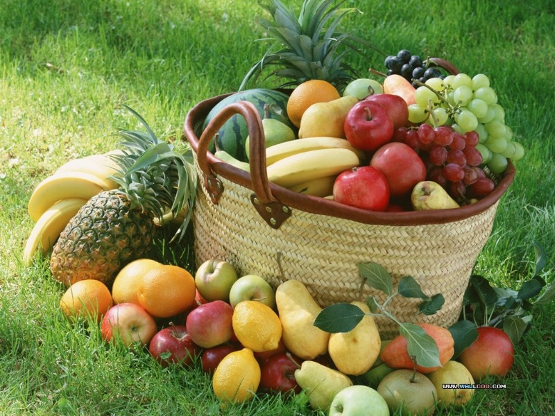  水果篮子图片壁纸 Stock Photographs of Fruit Photography壁纸 丰收季节(一)水果特写壁纸 丰收季节(一)水果特写图片 丰收季节(一)水果特写素材 摄影壁纸 摄影图库 摄影图片素材桌面壁纸