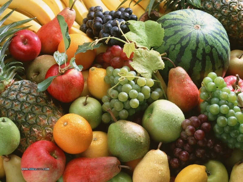  丰收水果图片壁纸 Stock Photographs of Fruit Photography壁纸 丰收季节(一)水果特写壁纸 丰收季节(一)水果特写图片 丰收季节(一)水果特写素材 摄影壁纸 摄影图库 摄影图片素材桌面壁纸