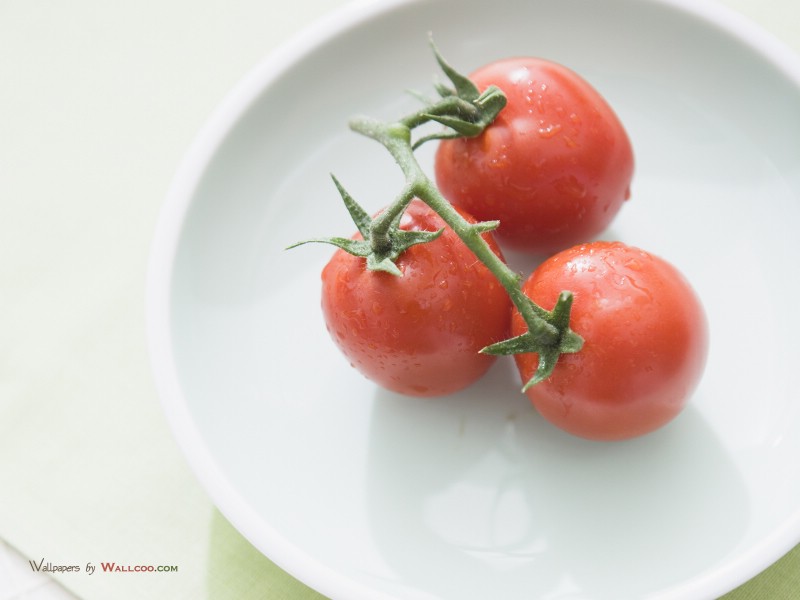  番茄图片 番茄壁纸Tomatos Photo Tomatos Wallpaper壁纸 健康早餐-美食摄影壁纸壁纸 健康早餐-美食摄影壁纸图片 健康早餐-美食摄影壁纸素材 摄影壁纸 摄影图库 摄影图片素材桌面壁纸