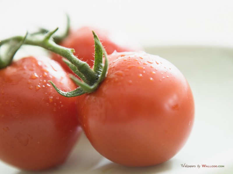  番茄图片 番茄壁纸Tomatos Photo Tomatos Wallpaper壁纸 健康早餐-美食摄影壁纸壁纸 健康早餐-美食摄影壁纸图片 健康早餐-美食摄影壁纸素材 摄影壁纸 摄影图库 摄影图片素材桌面壁纸