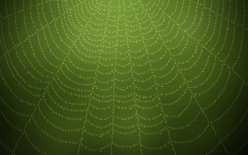 精美宽屏绿色壁纸 2009 06 30 壁纸30壁纸 精美宽屏绿色壁纸 2壁纸 精美宽屏绿色壁纸 2图片 精美宽屏绿色壁纸 2素材 系统壁纸 系统图库 系统图片素材桌面壁纸