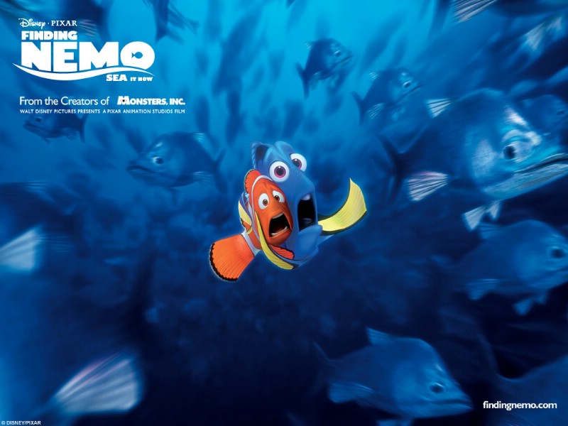  Finding Nemo Movie Wallpaper <海底总动员>电影壁纸壁纸 Finding Nemo 海底总动员官方电影壁纸壁纸 Finding Nemo 海底总动员官方电影壁纸图片 Finding Nemo 海底总动员官方电影壁纸素材 影视壁纸 影视图库 影视图片素材桌面壁纸