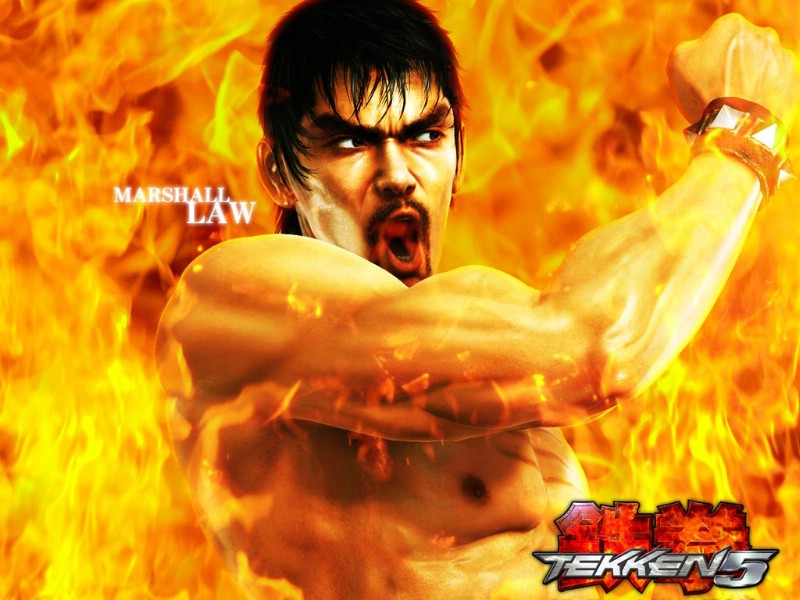 Tekken5 1 16壁纸 单个游戏 Tekken5 第一辑壁纸 单个游戏 Tekken5 第一辑图片 单个游戏 Tekken5 第一辑素材 游戏壁纸 游戏图库 游戏图片素材桌面壁纸