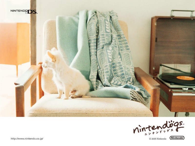 游戏 任天狗 壁纸 任天狗 游戏壁纸 Nintendo game Nintendogs Wallpaper壁纸 《Nintendogs任天狗》游戏壁纸壁纸 《Nintendogs任天狗》游戏壁纸图片 《Nintendogs任天狗》游戏壁纸素材 游戏壁纸 游戏图库 游戏图片素材桌面壁纸