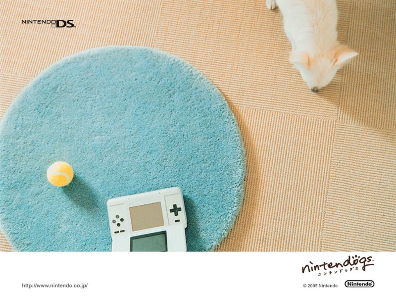 游戏 任天狗 壁纸 任天狗 游戏壁纸 Nintendo game Nintendogs Wallpaper壁纸 《Nintendogs任天狗》游戏壁纸壁纸 《Nintendogs任天狗》游戏壁纸图片 《Nintendogs任天狗》游戏壁纸素材 游戏壁纸 游戏图库 游戏图片素材桌面壁纸