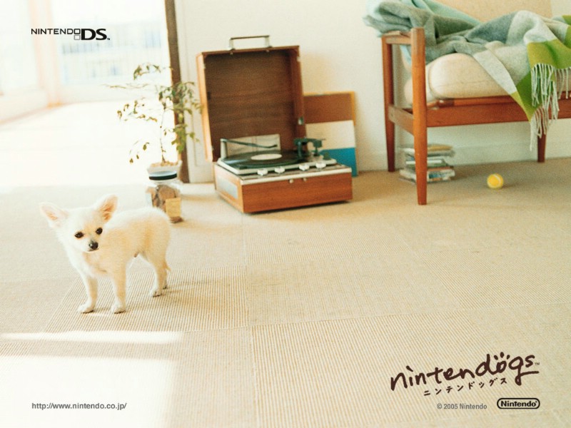 游戏 任天狗 壁纸 任天狗 游戏壁纸 Nintendo game Nintendogs Wallpaper壁纸 《Nintendogs任天狗》游戏壁纸壁纸 《Nintendogs任天狗》游戏壁纸图片 《Nintendogs任天狗》游戏壁纸素材 游戏壁纸 游戏图库 游戏图片素材桌面壁纸