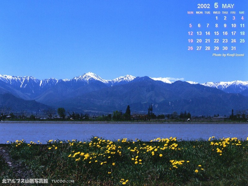  5月份月历桌面壁纸 May Desktop Calendar壁纸 2002年5月月历壁纸壁纸 2002年5月月历壁纸图片 2002年5月月历壁纸素材 月历壁纸 月历图库 月历图片素材桌面壁纸