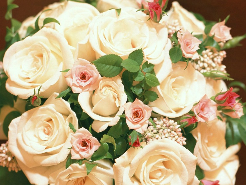 婚礼的花艺 祝福的花饰壁纸 婚礼的花艺壁纸 婚礼的花艺图片 婚礼的花艺素材 植物壁纸 植物图库 植物图片素材桌面壁纸